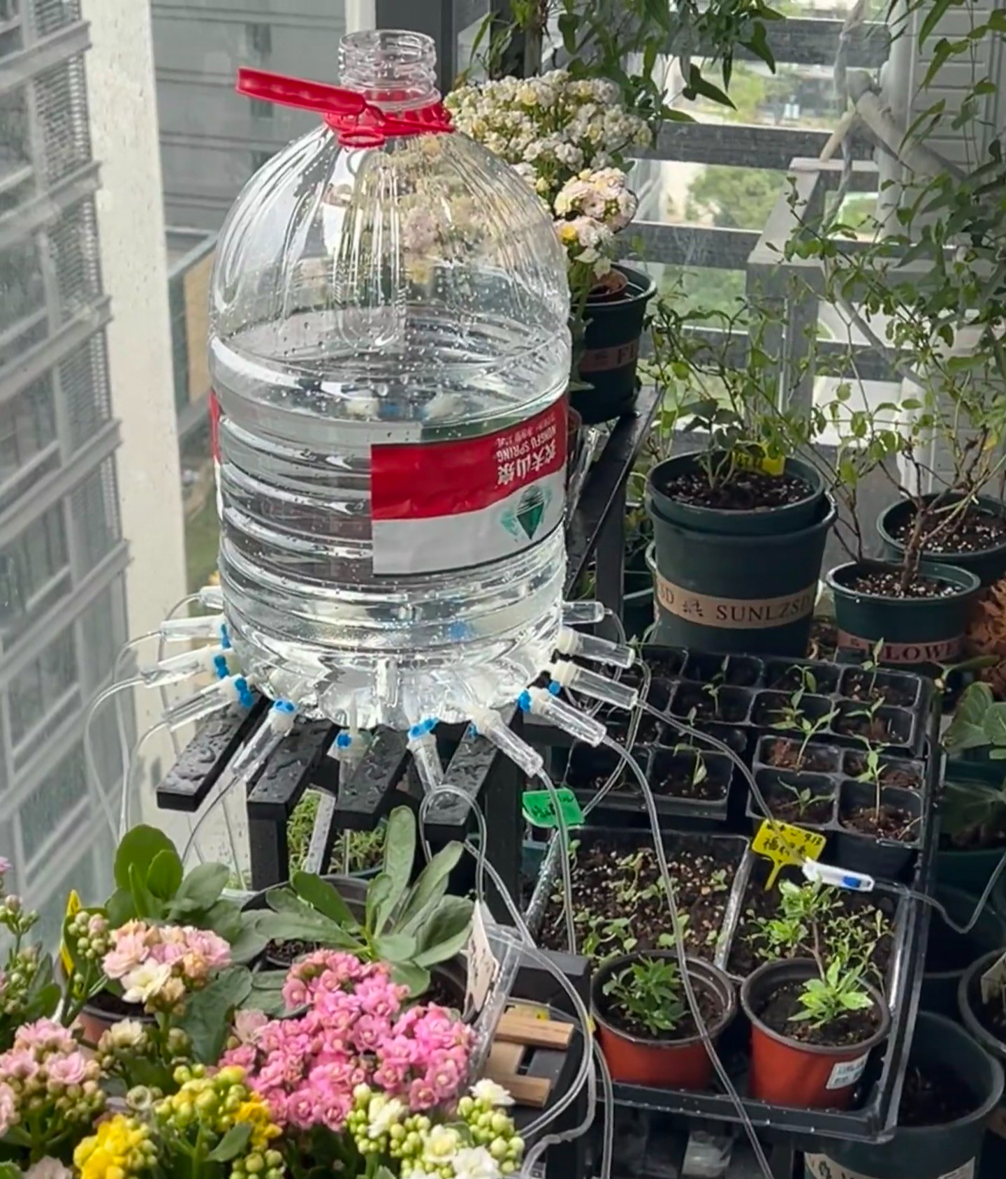 5 mẹo trồng cây được chia sẻ rầm rộ trên mạng: Có cách gần như không tốn tiền nhưng cây vẫn xanh tốt - Ảnh 9.