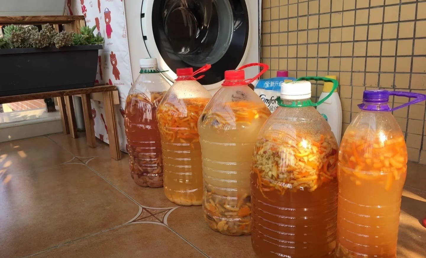 5 mẹo trồng cây được chia sẻ rầm rộ trên mạng: Có cách gần như không tốn tiền nhưng cây vẫn xanh tốt - Ảnh 3.