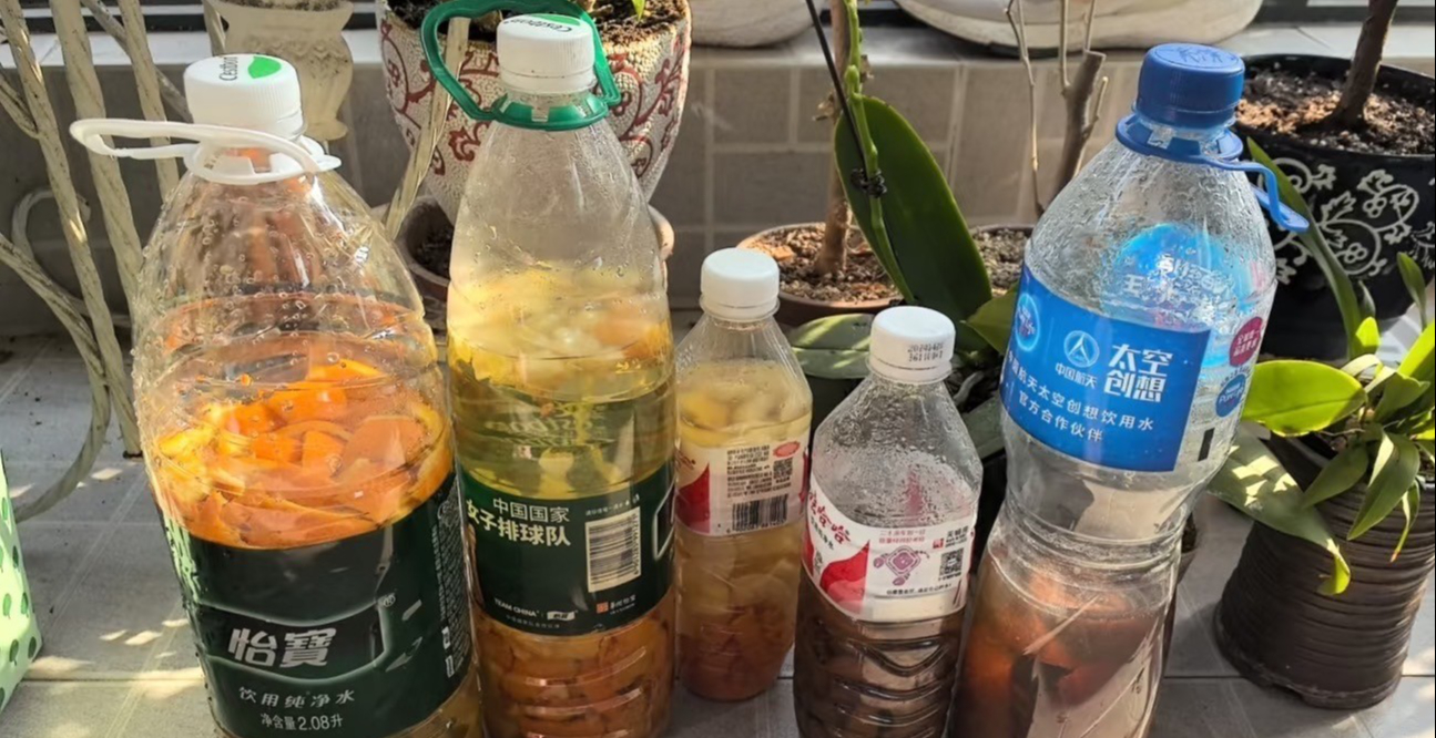 5 mẹo trồng cây được chia sẻ rầm rộ trên mạng: Có cách gần như không tốn tiền nhưng cây vẫn xanh tốt - Ảnh 1.