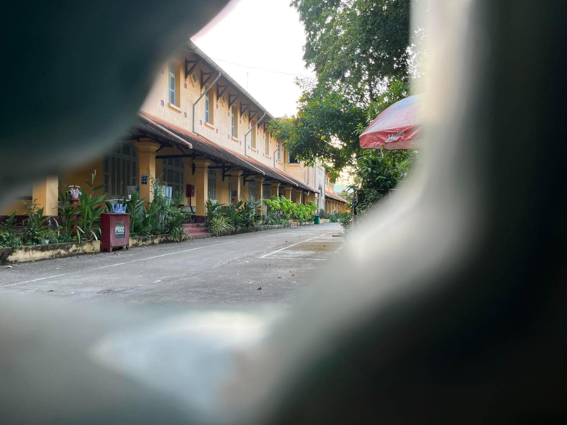  - Ảnh 11.