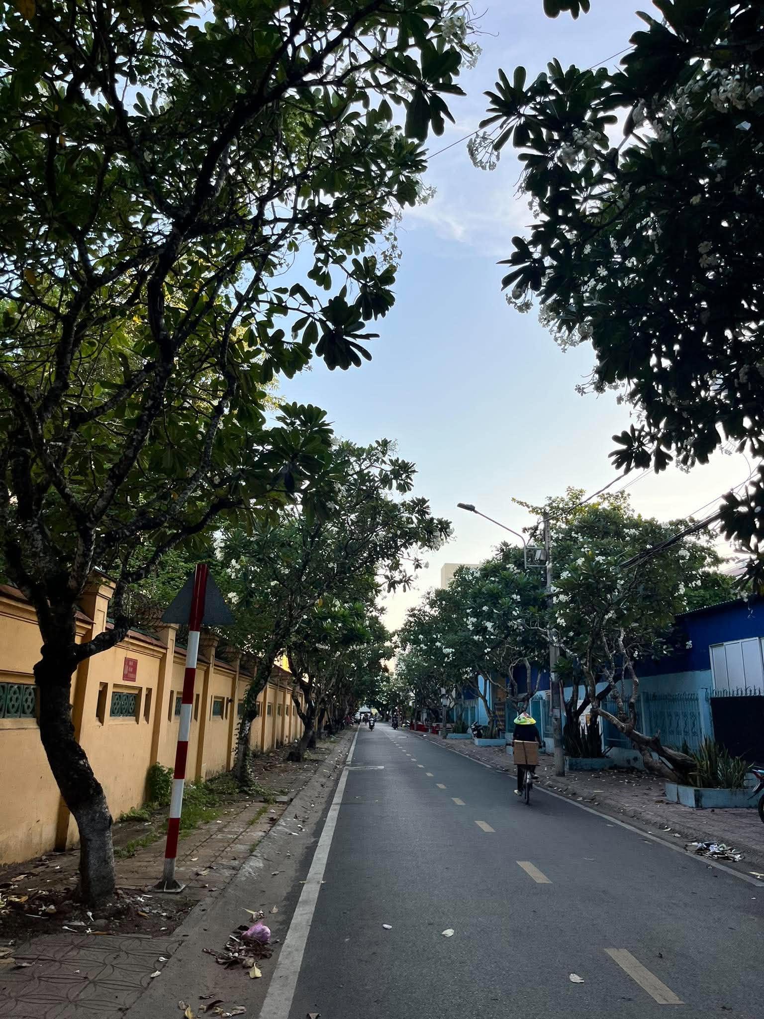  - Ảnh 4.