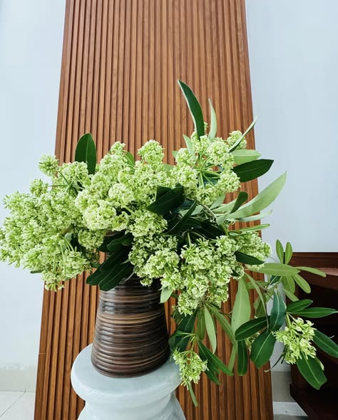 Lời khuy&ecirc;n cắm hoa sữa trong nh&agrave; cho kh&ocirc;ng gian m&ugrave;a thu dễ chịu - Ảnh 2.