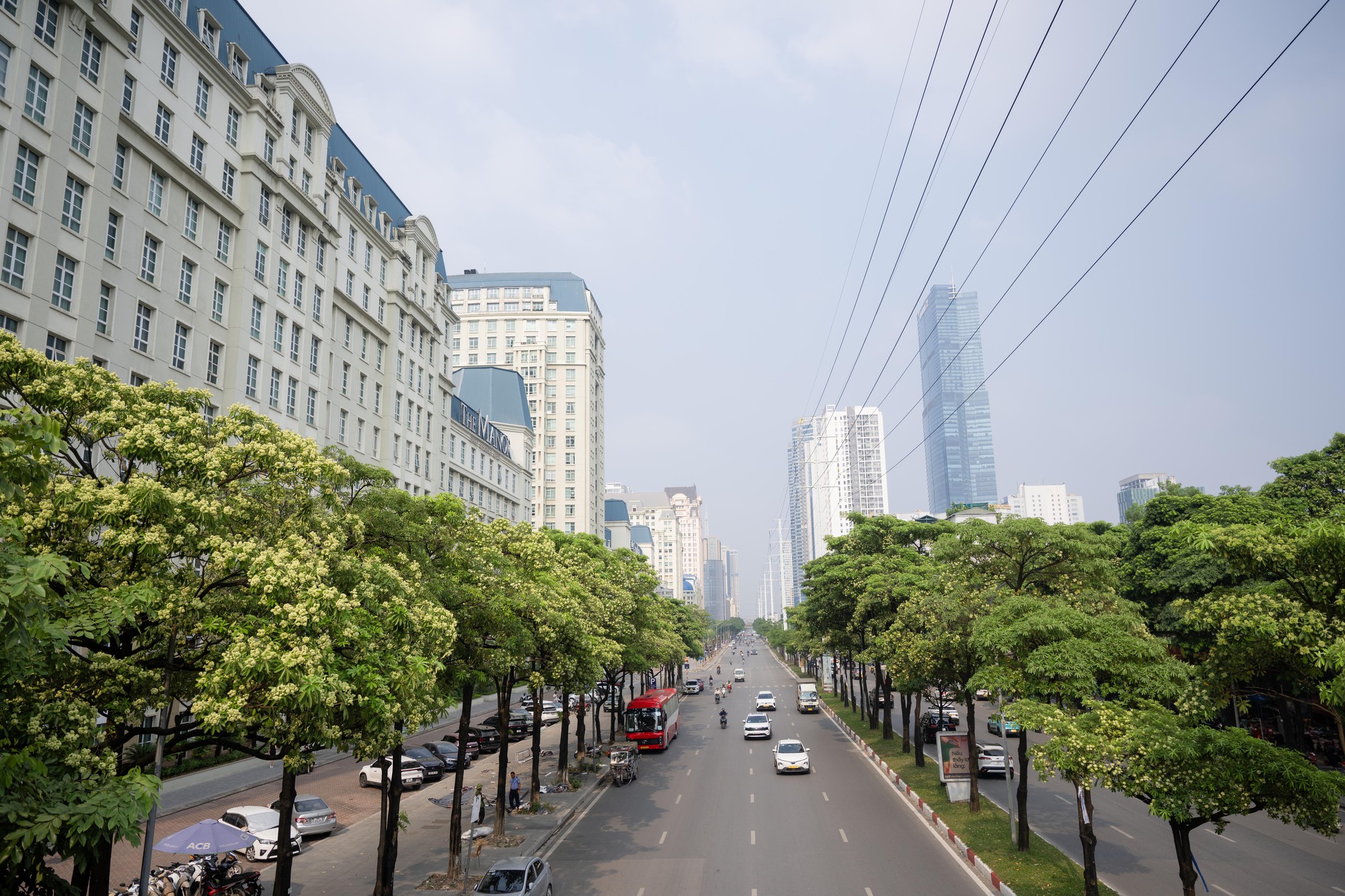 Hoa sữa nở rộ tại H&agrave; Nội 2026: Người d&acirc;n khổ sở v&igrave; m&ugrave;i hương nồng nặc - Ảnh 6.