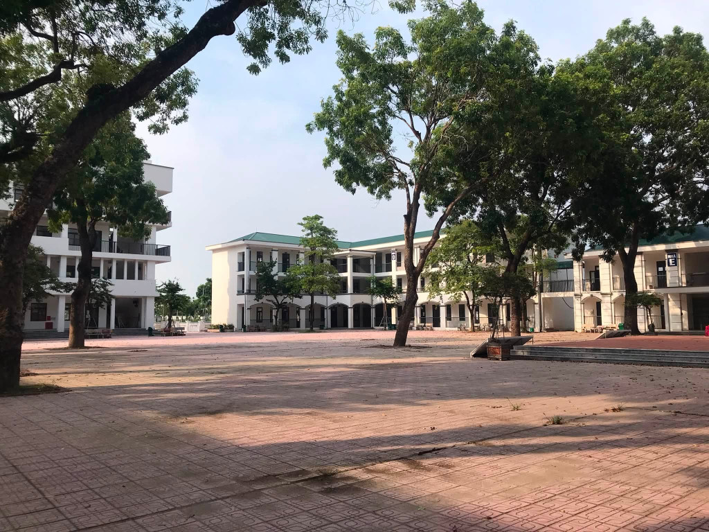  - Ảnh 2.