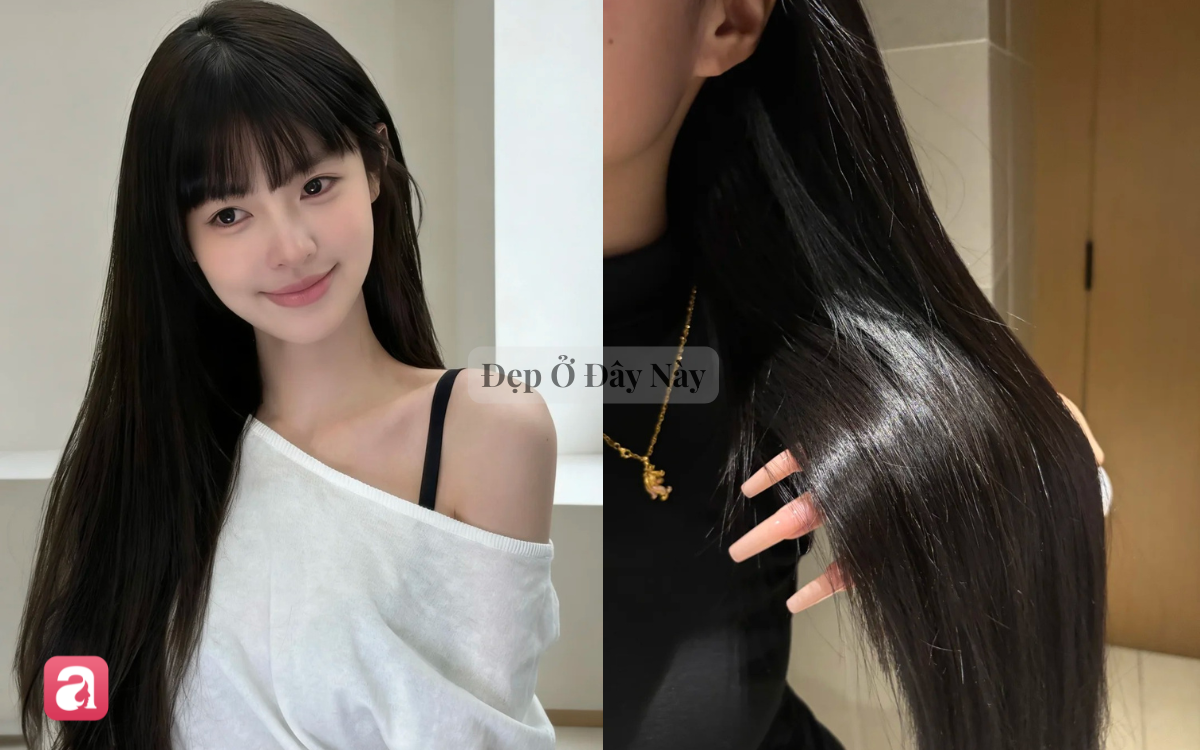 5 lọ dầu gội xả 