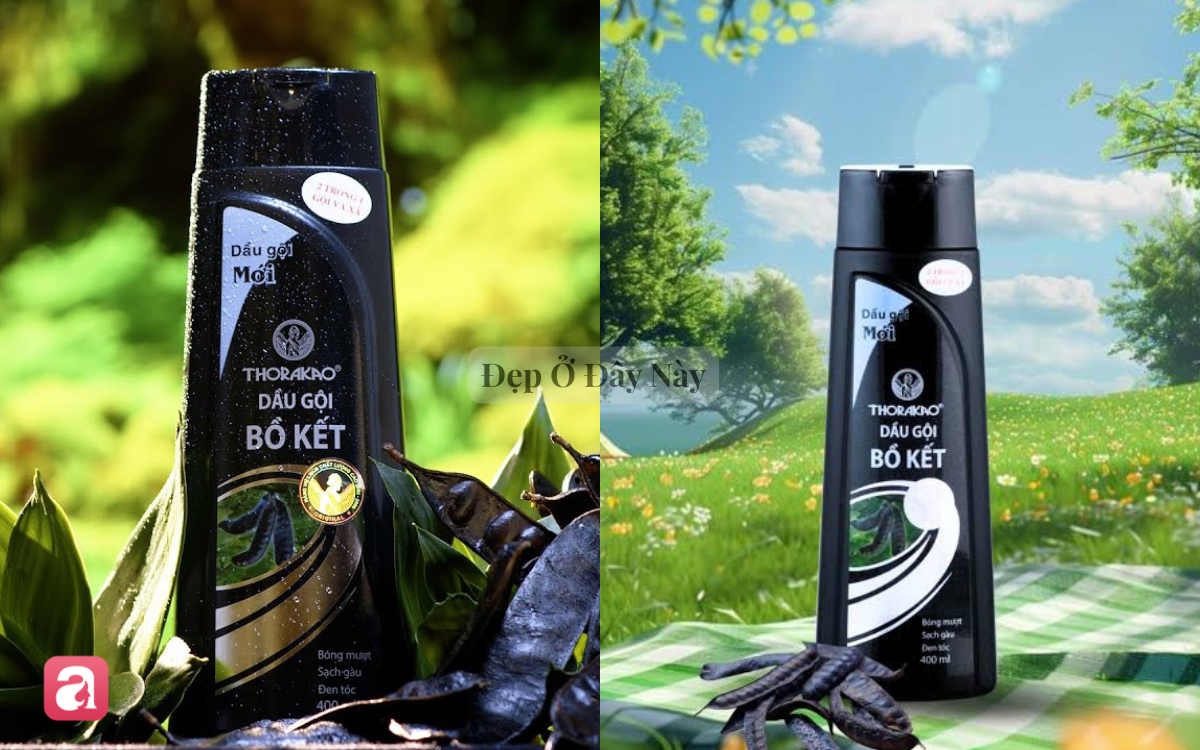5 lọ dầu gội xả 