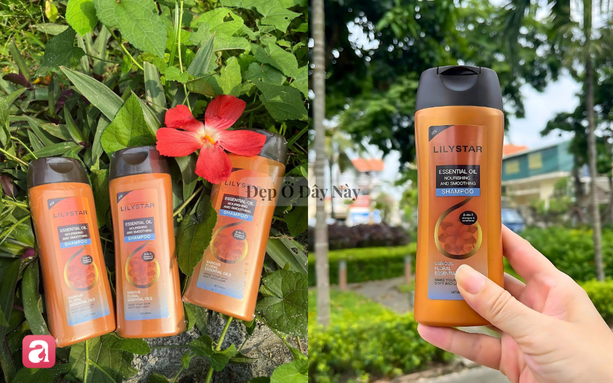 5 lọ dầu gội xả 