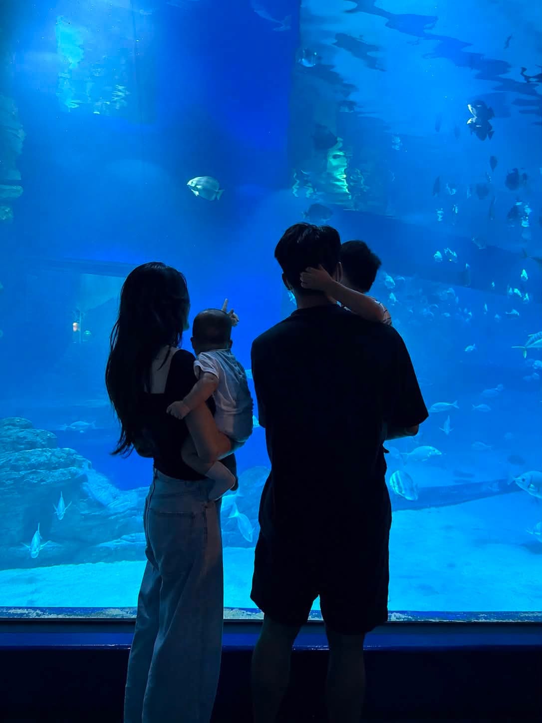  - Ảnh 8.