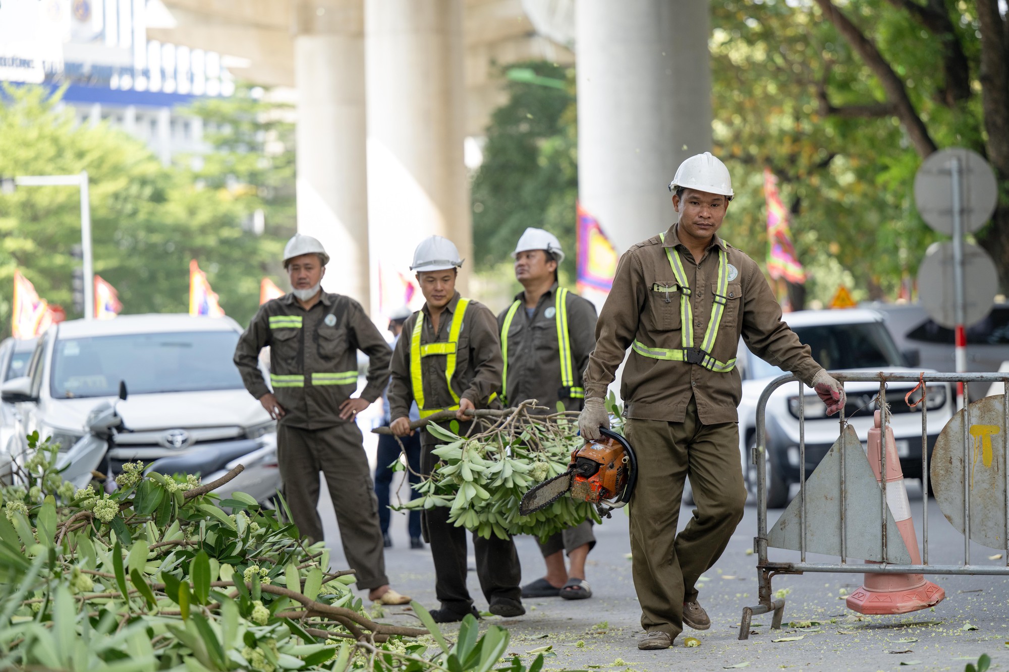 H&agrave; Nội cắt tỉa 992 c&acirc;y hoa sữa để giảm m&ugrave;i hương nồng nặc - Ảnh 4.
