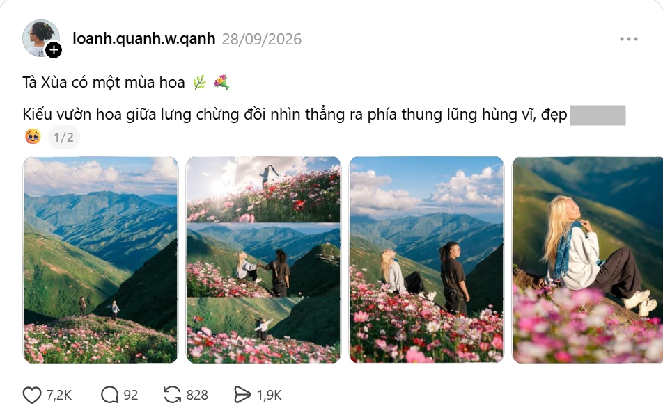  - Ảnh 1.