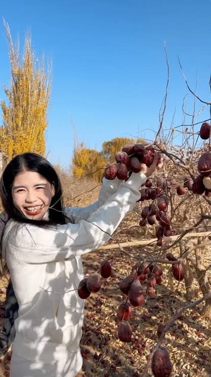Mối quan hệ làm ăn giữa Tôn Bằng và Hằng Du Mục - Ảnh 5.