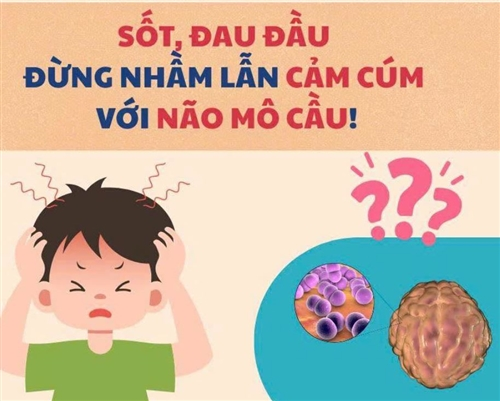 Ph&acirc;n biệt c&uacute;m m&ugrave;a v&agrave; n&atilde;o m&ocirc; cầu: B&aacute;c sĩ Trương Hữu Khanh hướng dẫn chi tiết - Ảnh 3.