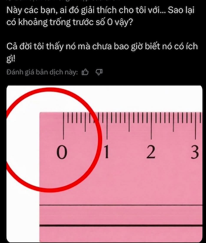  - Ảnh 1.