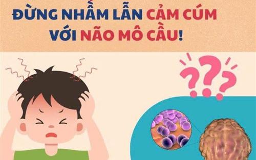 Kiến ba khoang g&acirc;y bỏng da: Dấu hiệu v&agrave; c&aacute;ch điều trị hiệu quả 2026 - Ảnh 2.