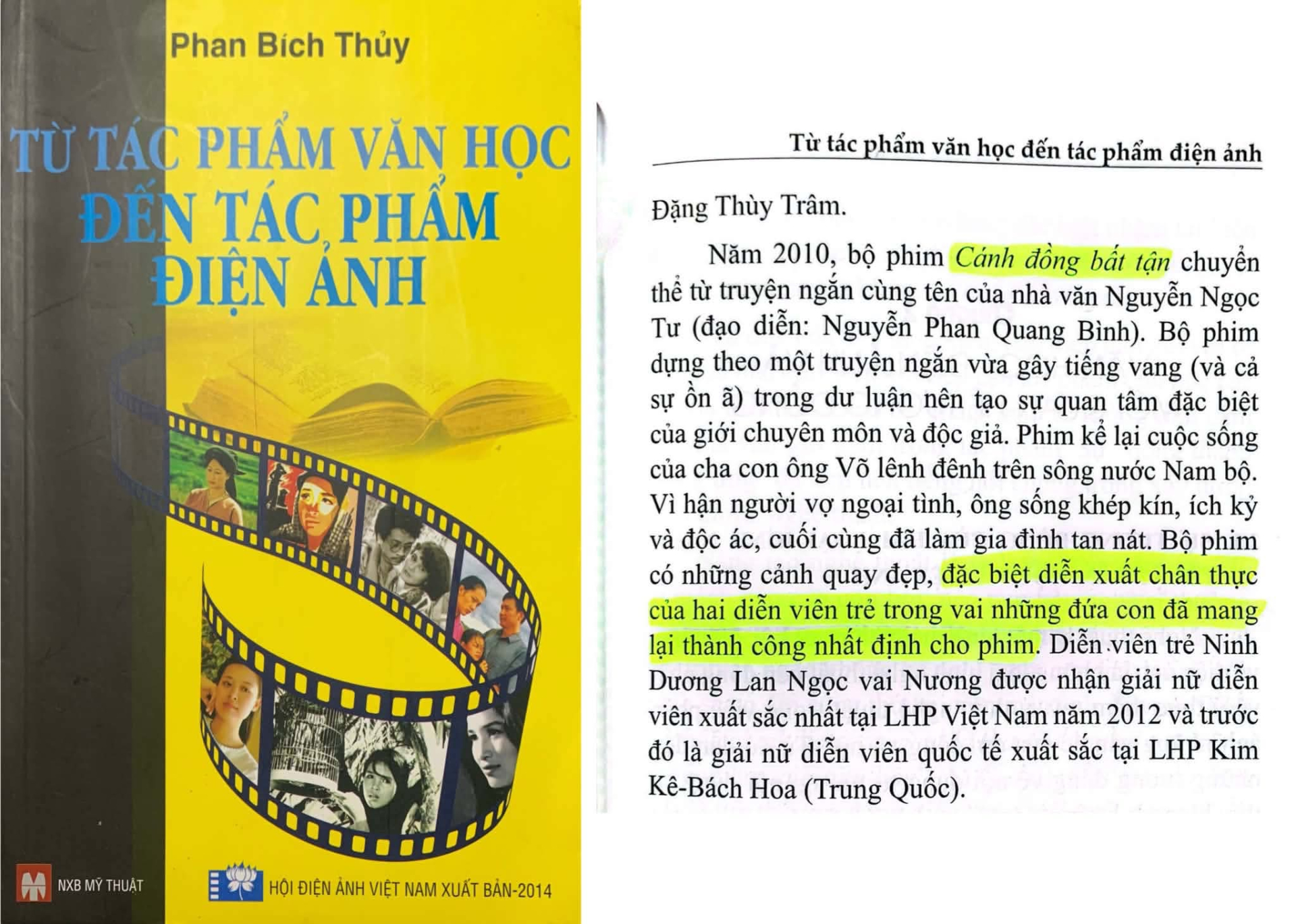  - Ảnh 7.
