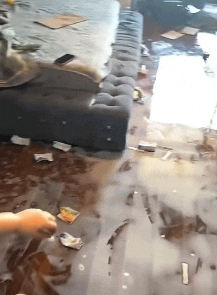 Hoa mắt chóng mặt với con cái: 2 anh em nghịch ngợm lôi sữa ra đổ khắp nhà, nhìn hiện trường mà người lớn muốn “tiền đình” - Ảnh 1.
