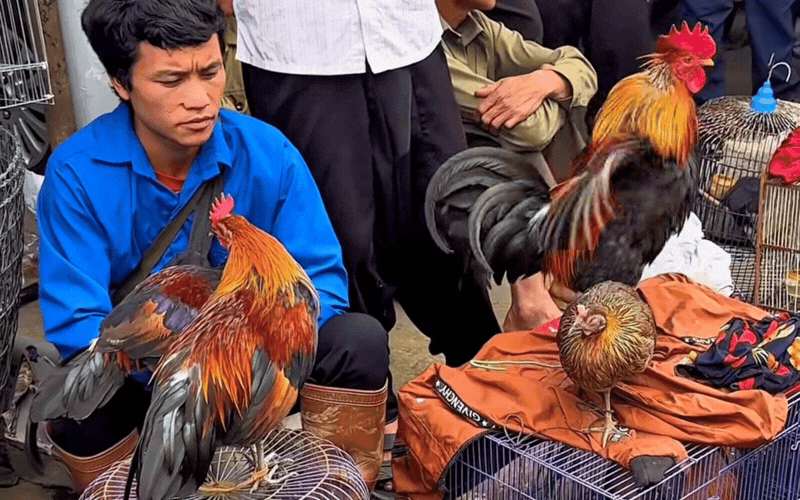 Đến Lai Châu sáng Chủ nhật, nhất định phải ghé khu chợ phiên vùng cao rực rỡ sắc màu này - Ảnh 8.