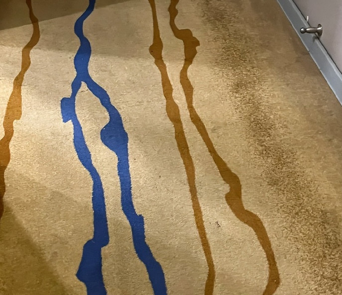  - Ảnh 1.