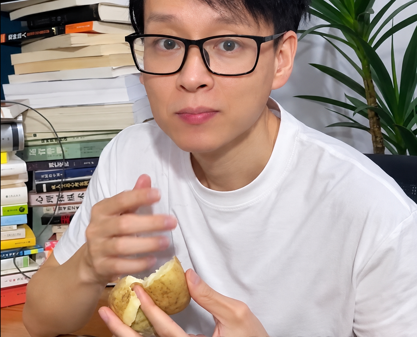  - Ảnh 1.