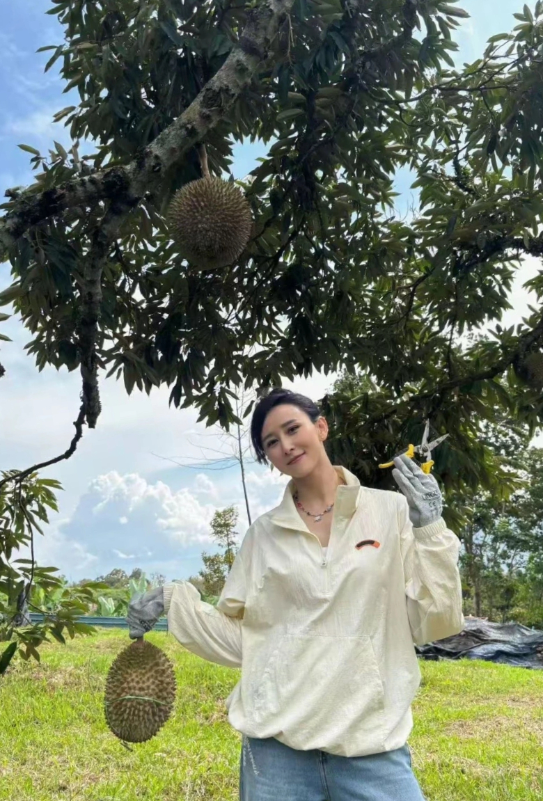 Cận cảnh dinh thự 6 . 000 M&sup2; của Hồ Tịnh: Cuộc sống như c&ocirc;ng ch&uacute;a b&ecirc;n người thừa kế tập đo&agrave;n tang lễ - Ảnh 8.