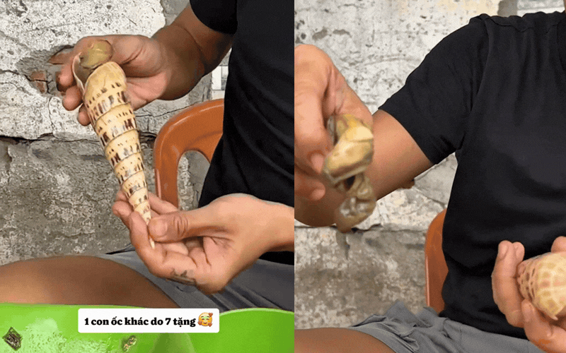Theo ch&acirc;n Miko Lan Trinh v&agrave; Kenji đến qu&aacute;n ốc b&igrave;nh d&acirc;n sau chợ Đầm, c&oacute; m&oacute;n ngon đến mức muốn h&uacute;p sạch nước luộc - Ảnh 9.
