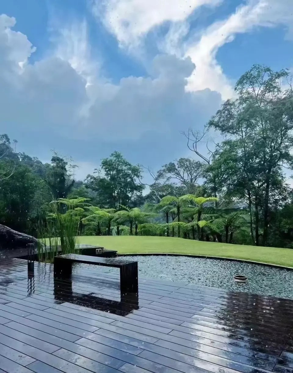 Cận cảnh dinh thự 6 . 000 M&sup2; của Hồ Tịnh: Cuộc sống như c&ocirc;ng ch&uacute;a b&ecirc;n người thừa kế tập đo&agrave;n tang lễ - Ảnh 6.