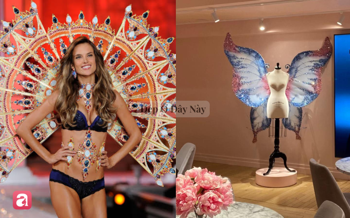 Sau show diễn, những đ&ocirc;i c&aacute;nh thi&ecirc;n thần của Victoria's Secret sẽ đi đ&acirc;u về đ&acirc;u? - Ảnh 1.