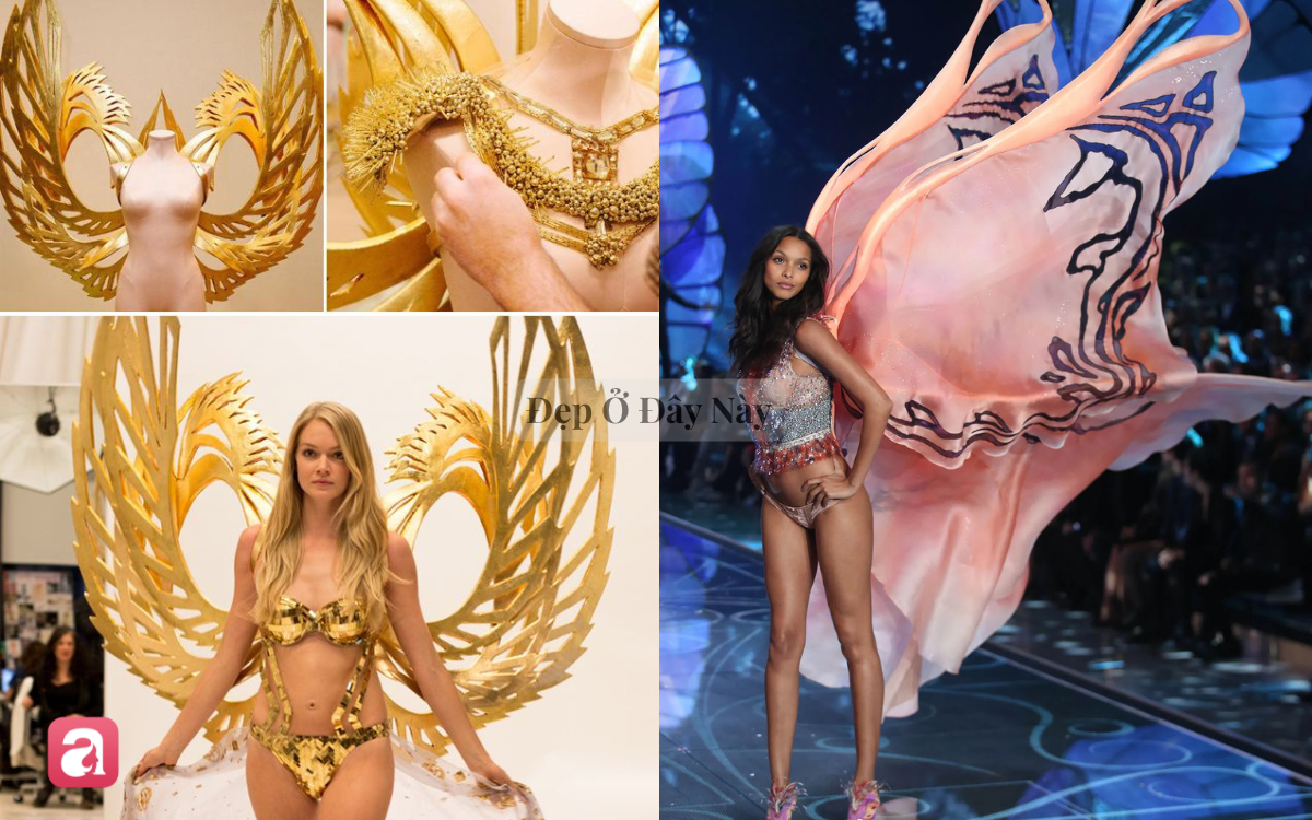 Sau show diễn, những đ&ocirc;i c&aacute;nh thi&ecirc;n thần của Victoria's Secret sẽ đi đ&acirc;u về đ&acirc;u? - Ảnh 2.