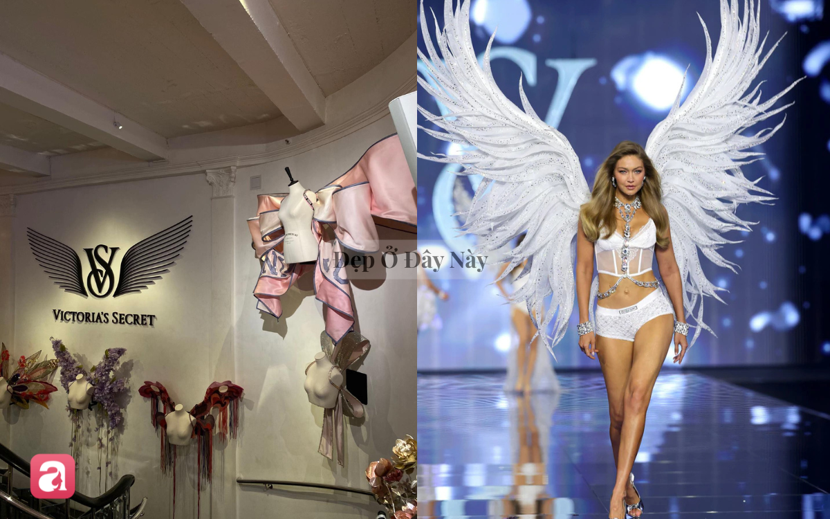 Sau show diễn, những đ&ocirc;i c&aacute;nh thi&ecirc;n thần của Victoria's Secret sẽ đi đ&acirc;u về đ&acirc;u? - Ảnh 5.