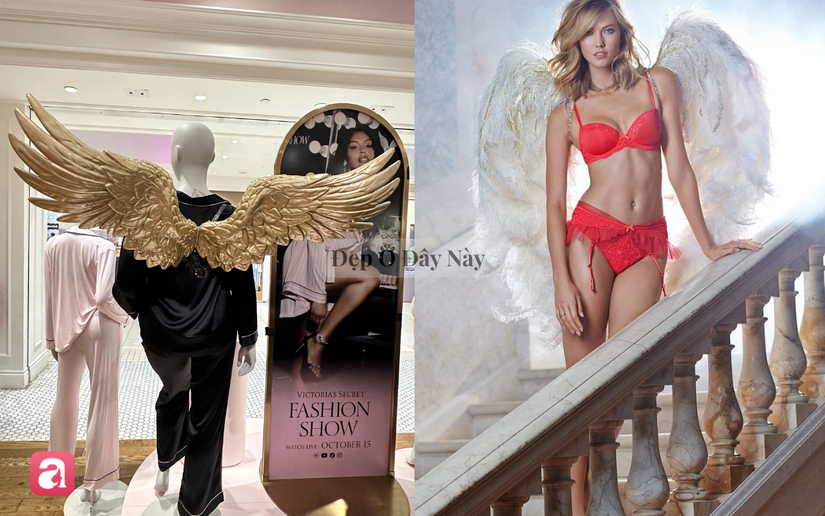 Sau show diễn, những đ&ocirc;i c&aacute;nh thi&ecirc;n thần của Victoria's Secret sẽ đi đ&acirc;u về đ&acirc;u? - Ảnh 6.