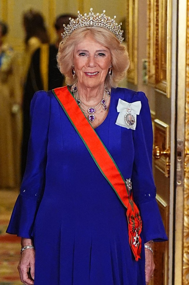 Vương nữ Anne tỏa s&aacute;ng tại quốc yến Oman , vượt mặt William v&agrave; Kate - Ảnh 6.