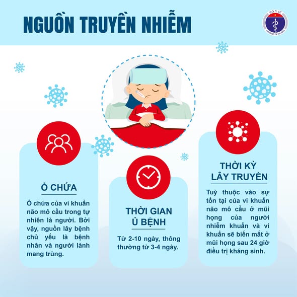 Infographic: Viêm não mô cầu - hiểu đúng để phòng chống bệnh- Ảnh 2.