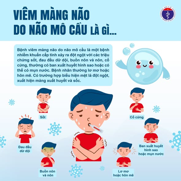 Infographic: Viêm não mô cầu - hiểu đúng để phòng chống bệnh- Ảnh 1.