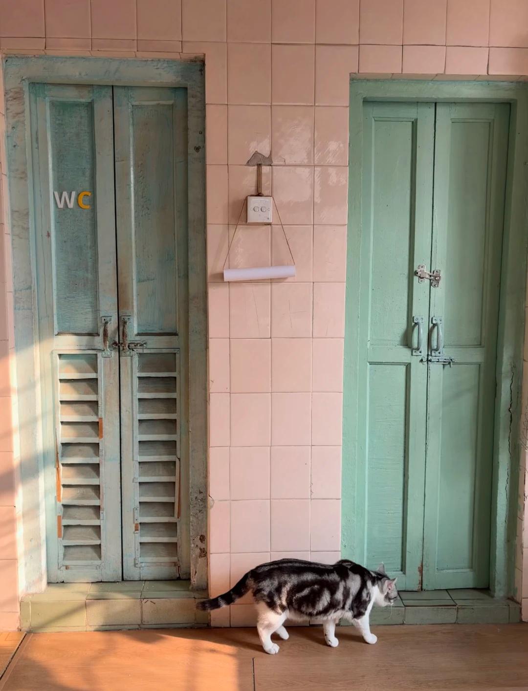 Bỏ căn hộ 50m&sup2; để chuyển v&agrave;o nh&agrave; tập thể cũ 160m&sup2;, ở một thời gian chủ nh&agrave; phải thốt l&ecirc;n: Như n&agrave;y mới l&agrave; đ&aacute;ng sống! - Ảnh 5.