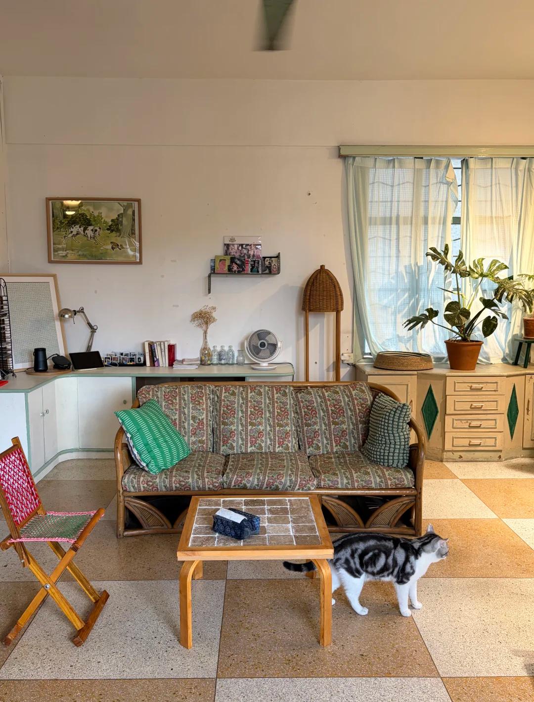 Bỏ căn hộ 50m&sup2; để chuyển v&agrave;o nh&agrave; tập thể cũ 160m&sup2;, ở một thời gian chủ nh&agrave; phải thốt l&ecirc;n: Như n&agrave;y mới l&agrave; đ&aacute;ng sống! - Ảnh 3.