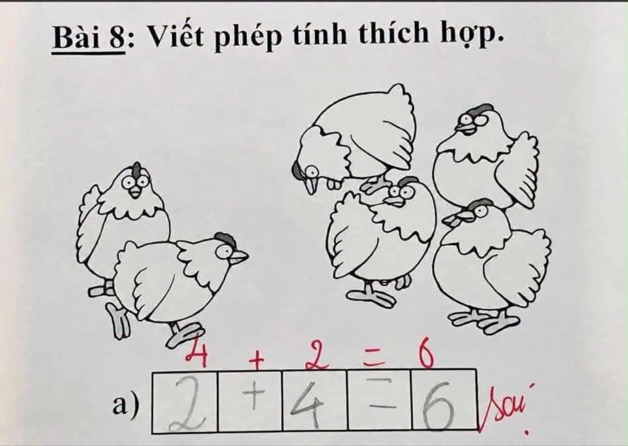  - Ảnh 1.