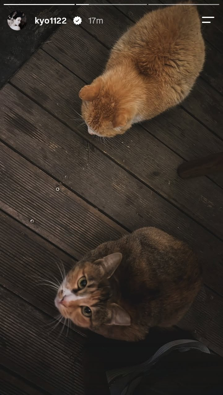 - Ảnh 3. - Ảnh 3.