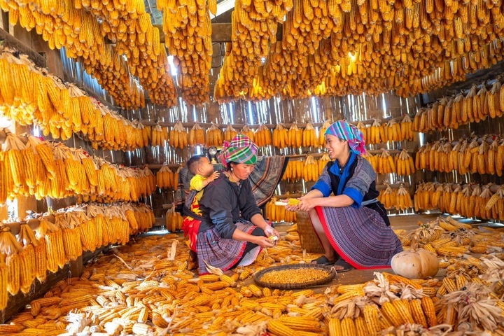 V&igrave; sao m&egrave;n m&eacute;n trở th&agrave;nh m&oacute;n ăn biểu tượng của người H ' M&ocirc;ng tại T&acirc;y Bắc? - Ảnh 3.