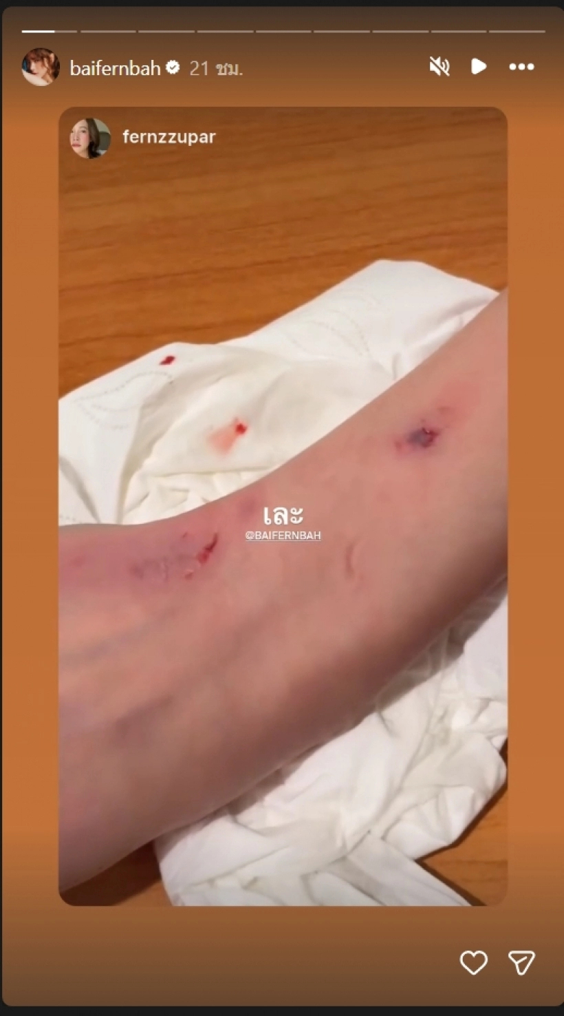  - Ảnh 3.