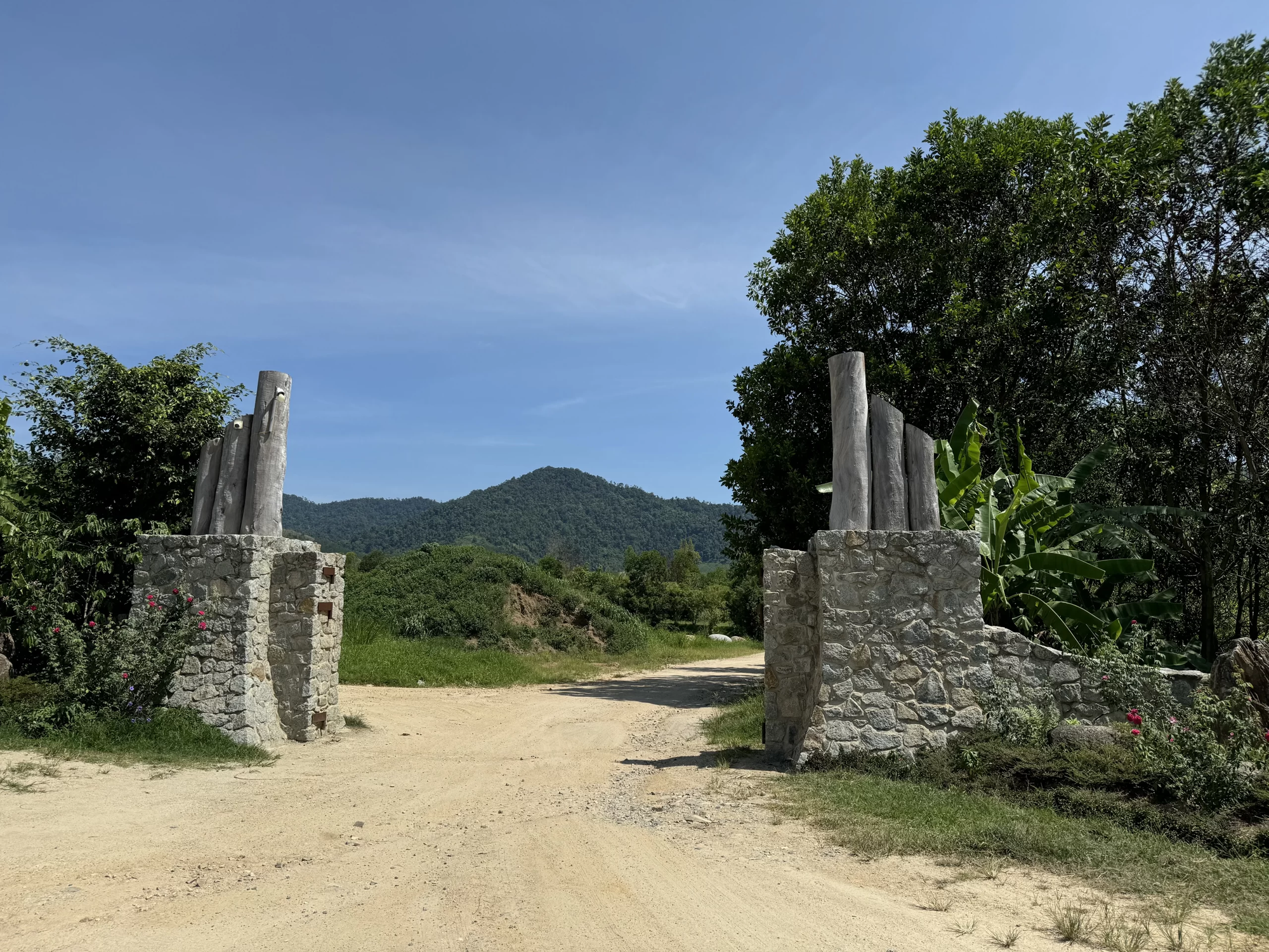 Trang trại chăn nu&ocirc;i của &ocirc;ng Đặng L&ecirc; Nguy&ecirc;n Vũ tại Đắk Lắk - niềm đam m&ecirc; ngựa q&uacute;y - Ảnh 1.