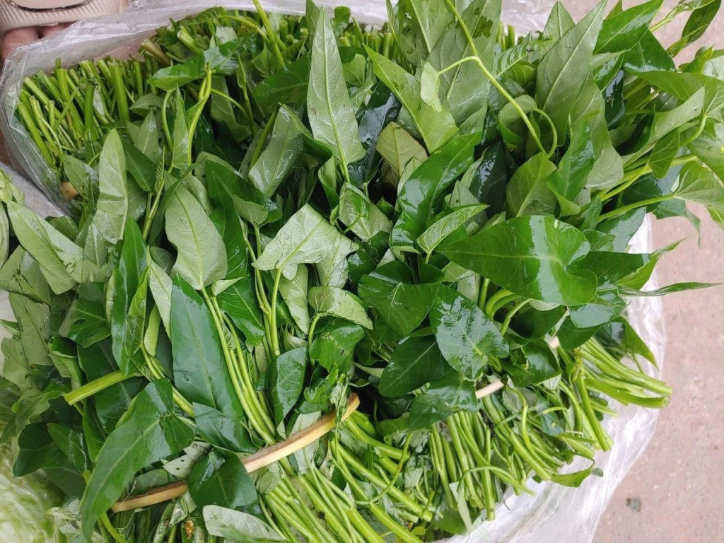 M&oacute;n rau ngon m&ecirc; hoặc Thủ tướng Ba Lan v&agrave; sao H&agrave;n Quốc - Ảnh 7.