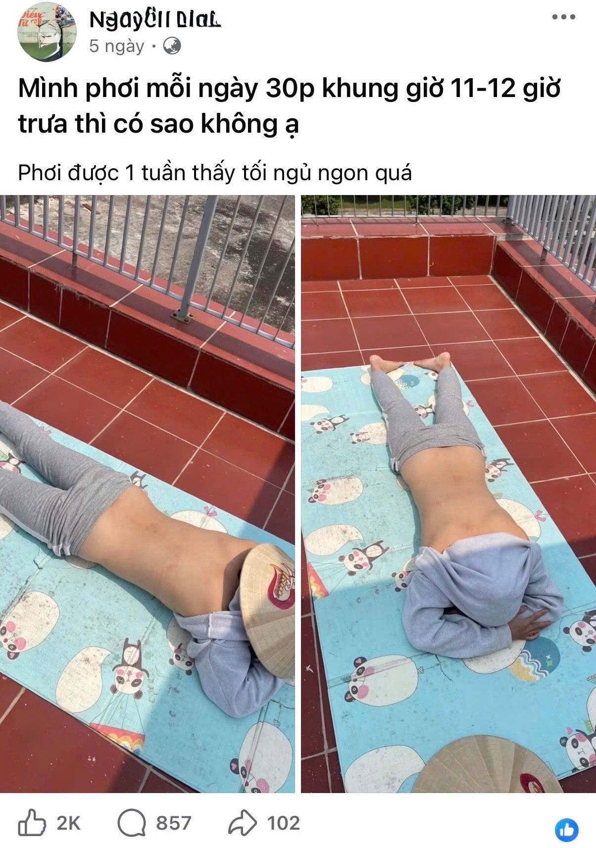  - Ảnh 1.