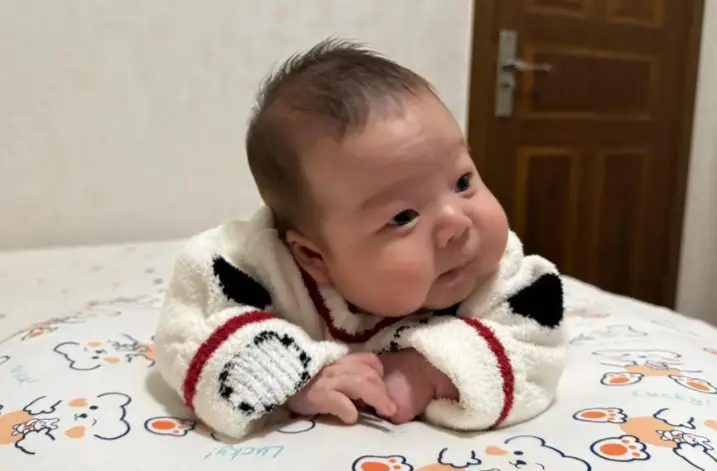 - Ảnh 2. - Ảnh 2.