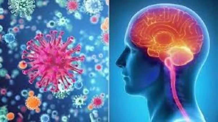 CDC C&agrave; Mau: Hai người tử vong do vi&ecirc;m n&atilde;o m&ocirc; cầu đều chưa r&otilde; nguồn l&acirc;y - Ảnh 2.