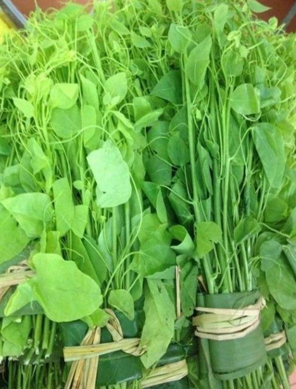 Rau b&ograve; khai - vị thuốc hỗ trợ ti&ecirc;u h&oacute;a v&agrave; giải độc từ thi&ecirc;n nhi&ecirc;n - Ảnh 1.