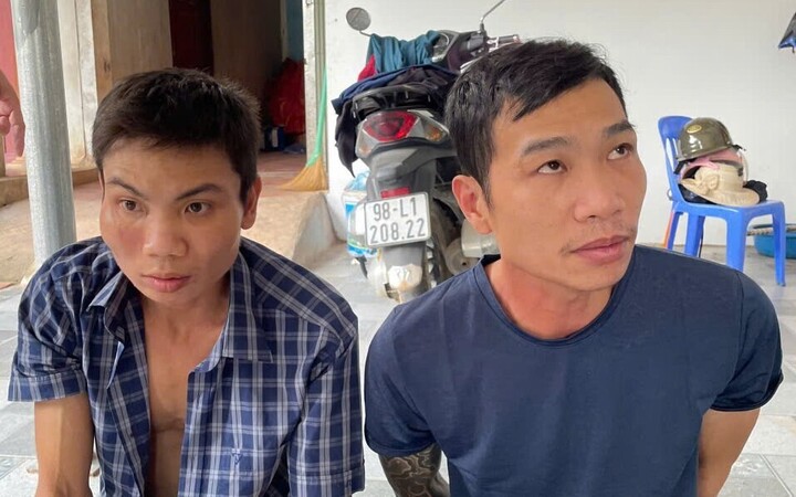 Khởi tố 4 kẻ trộm ch&oacute; ch&eacute;m người ở Hưng Y&ecirc;n g&acirc;y chấn động x&atilde; hội - Ảnh 1.