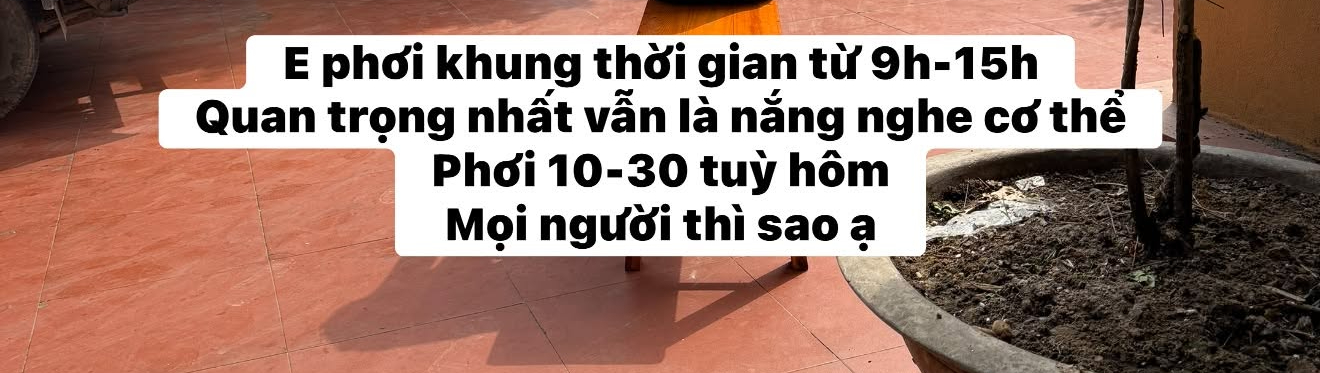 - Ảnh 5. - Ảnh 5.