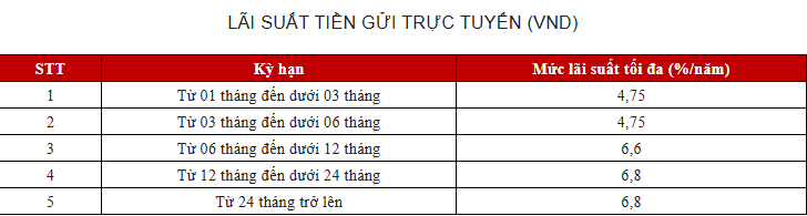  - Ảnh 5.