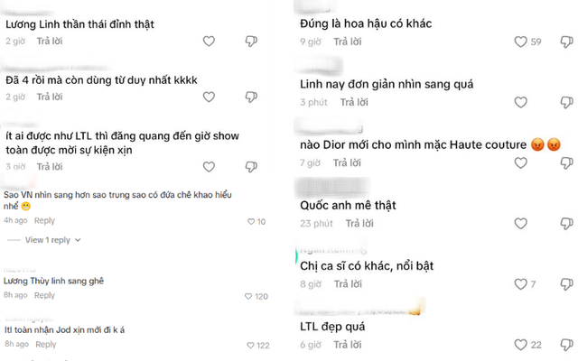 Nhiều b&igrave;nh luận khen Lương Th&ugrave;y Linh- Ảnh 4.