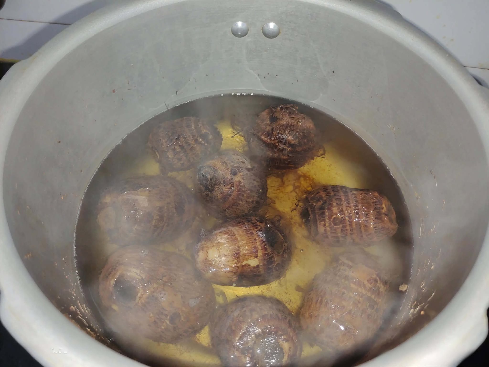 Món khoai sọ nấu tóp mỡ và rau xanh: Hương vị mùa thu tuyệt vời - Ảnh 2. Món khoai sọ nấu tóp mỡ và rau xanh: Hương vị mùa thu tuyệt vời - Ảnh 2.